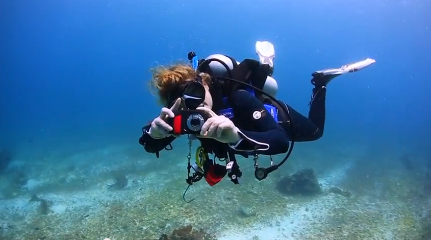 Underwater Photo/video Contest 2017